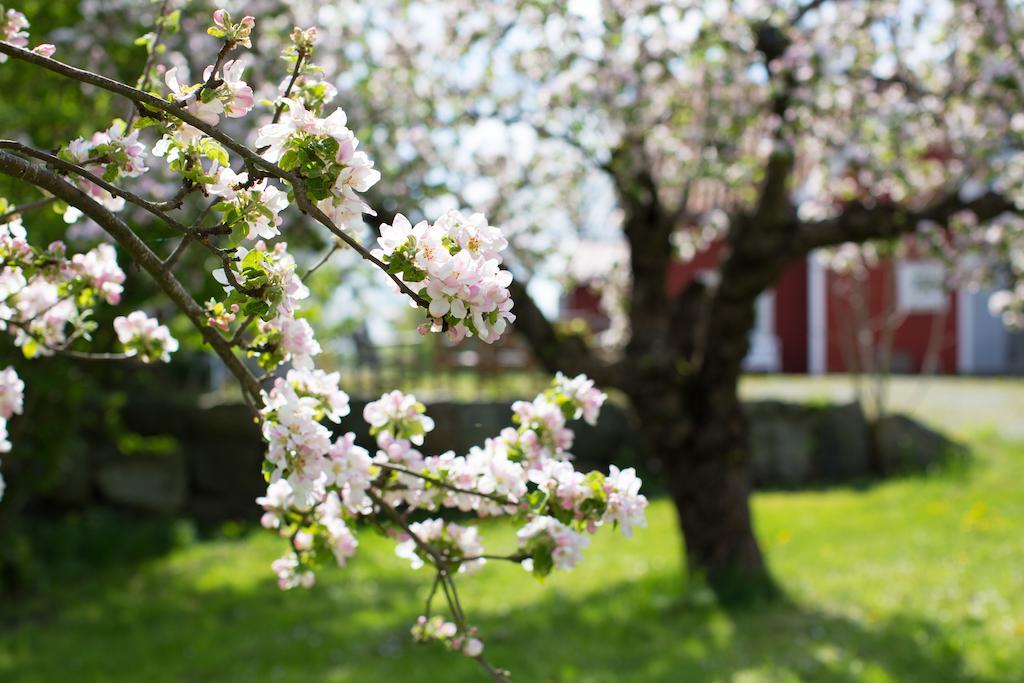 Lilla Sorgarden Hotel Kungsberga Luaran gambar